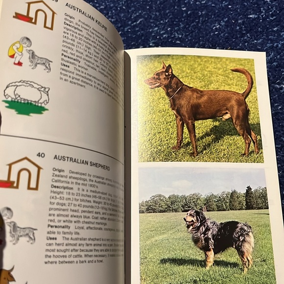 Identity dogs 320 Breeds - Picture 6 of 13